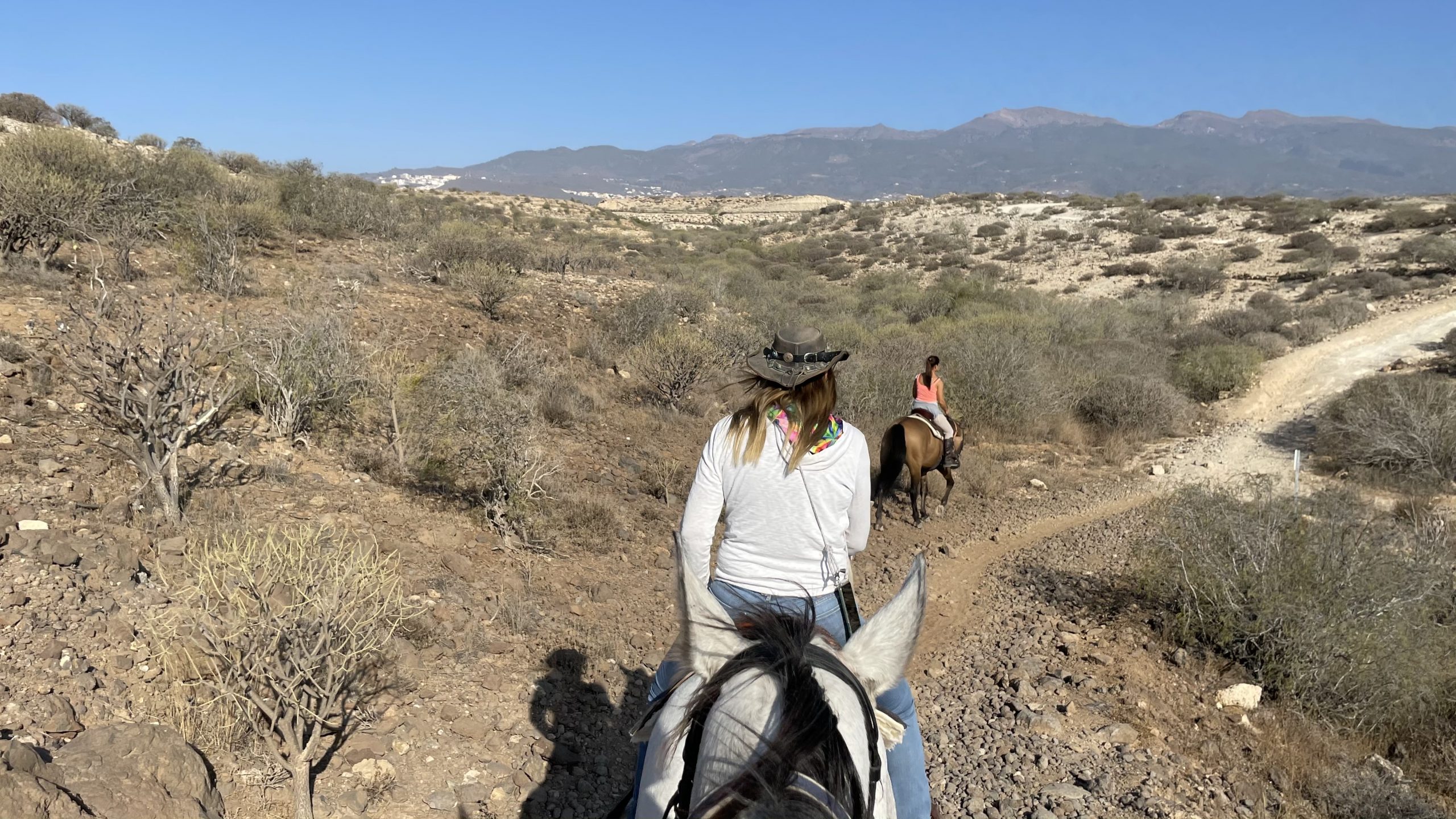 horse riding excursions tenerife