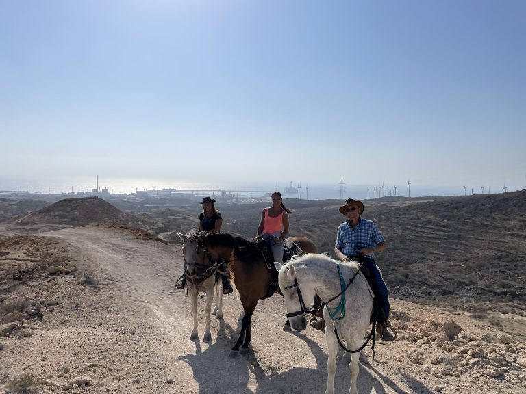 horse riding tenerife beach