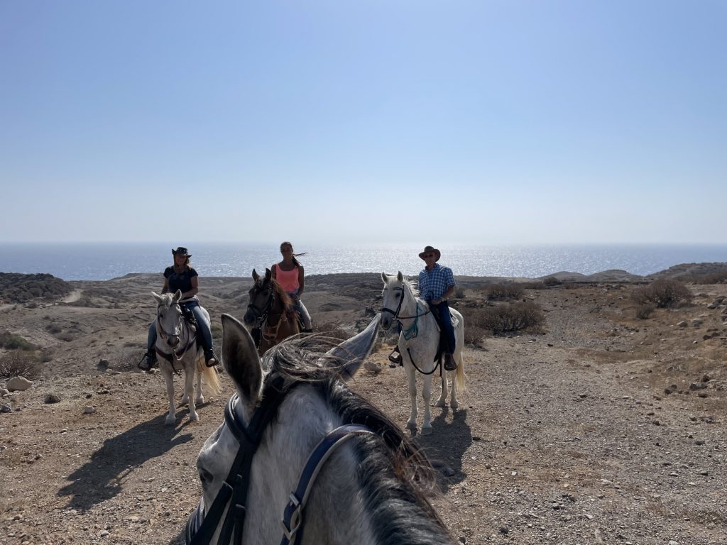 horse riding tenerife