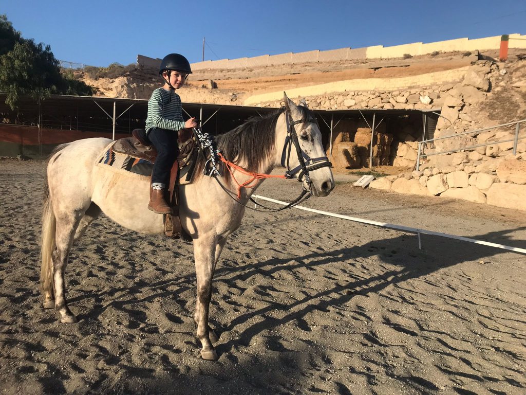 tenerife horse riding lessons