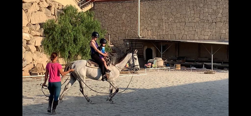 tenerife horse riding lessons